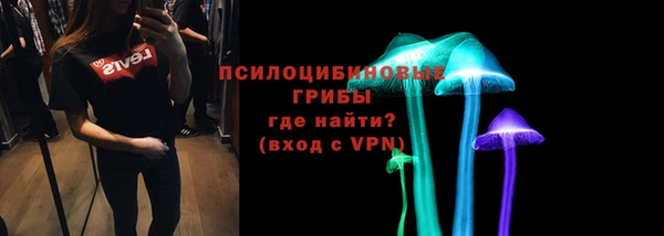 PSILOCYBIN Алзамай