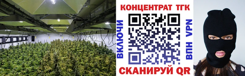 ТГК Wax Саки