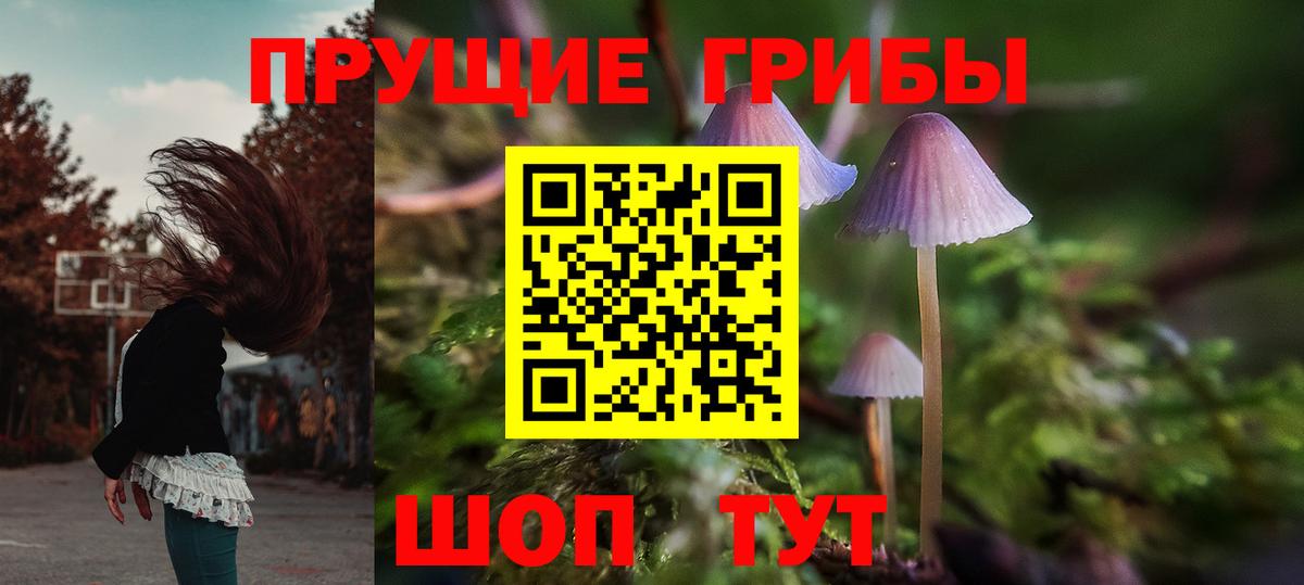 Галлюциногенные грибы Cubensis Саки