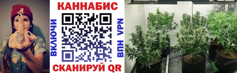 Бошки Шишки сатива Саки
